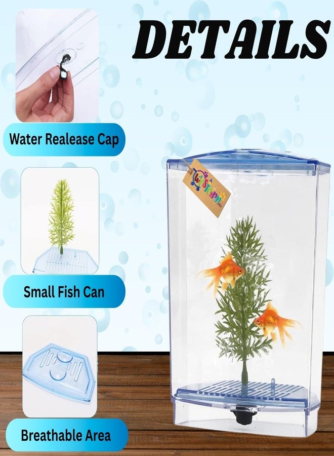Western Era Betta Tank - Minimalist Aquatic Home for Betta Companions, Perfect for Peaceful Observation, Easy Upkeep, & Serene Interior Styling with a Compact Safe Living Space for Small Aquarium Fish - Image 4